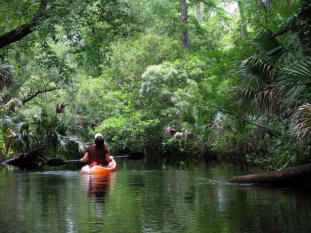Kayak Juniper Springs, Florida,Top 5 RV Destinations near Miami