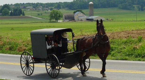 A família Amish a andar num tradicional buggy Amish no Condado de Lancaster, Autocaravana, Campervan e Trailer de Aluguer de Newark, Nova Jersey E.U. 
