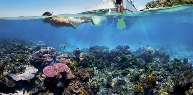 Great Barrier Reef, Autocaravana de Aluguer de Gold Coast, Trailer e Campervan de de Aluguer de Queensland
