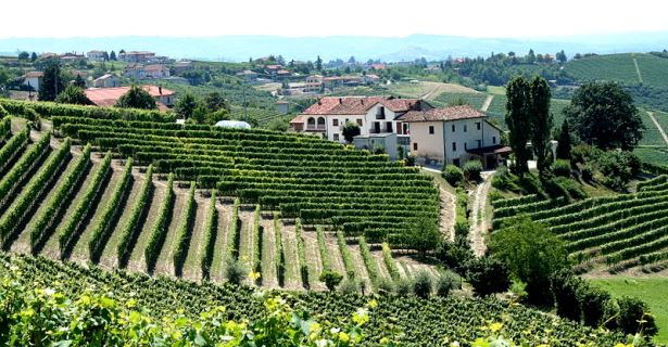 Aldeia com vinhas em Piedmont, Itália, aluguer de autocaravanas em Turim