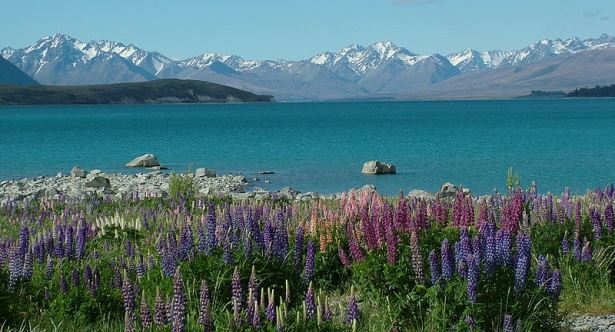 Lago Tekapo e os Alpes do Sul,Autocaravana de Aluguer em Christchurch, Campervan & Trailer de Aluguer da NZ, Nova Zelândia