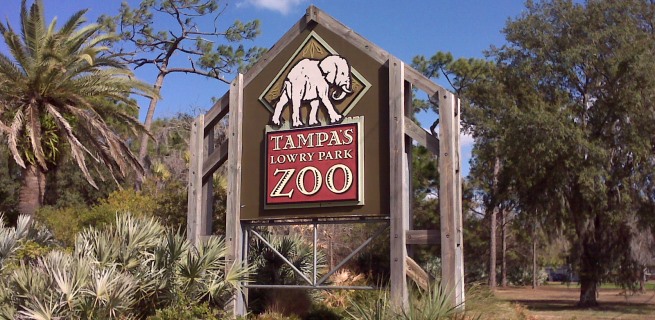 Tampa Airport Car Rental, Zoo Tampa at Lowry Park