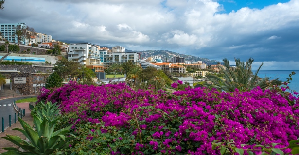 Paseo Maritimo Funchal