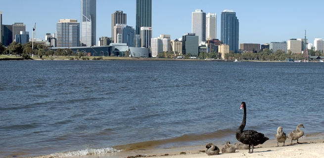 Swan River, Perth, Western Australia