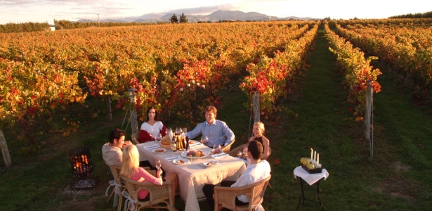 Martinborough vineyard, New Zealand