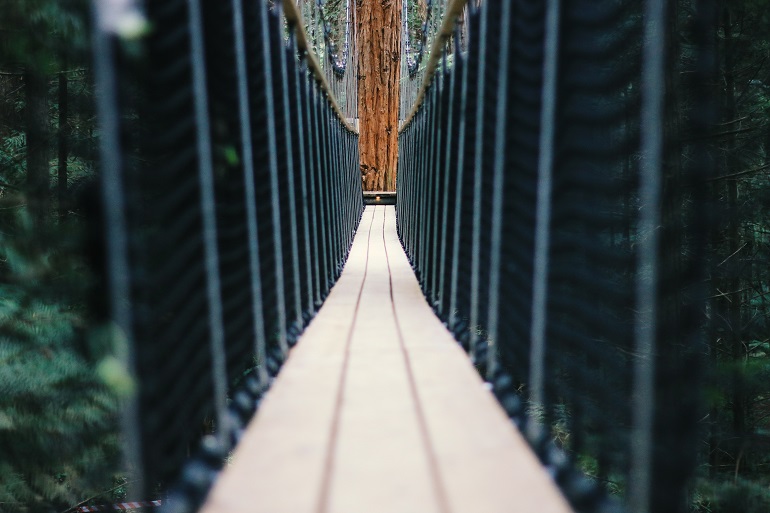 Redwoods Treewalk, Rotorua, New Zealand