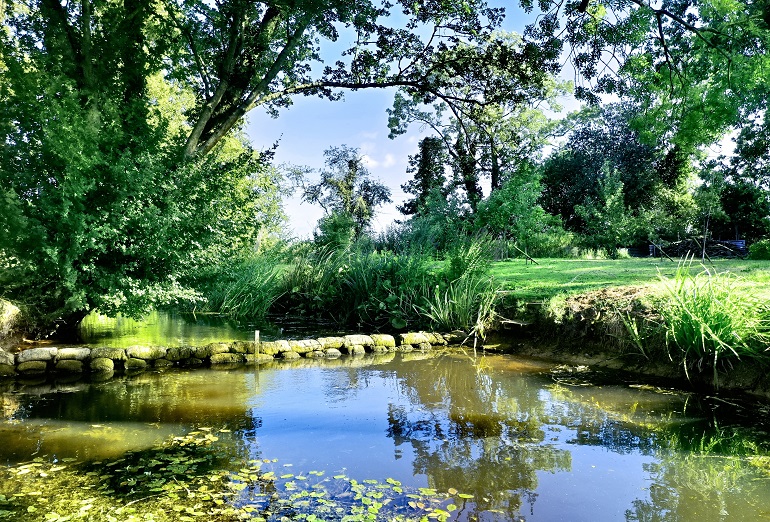 Pond and Farm Garden near Halesworth in Suffolk, England