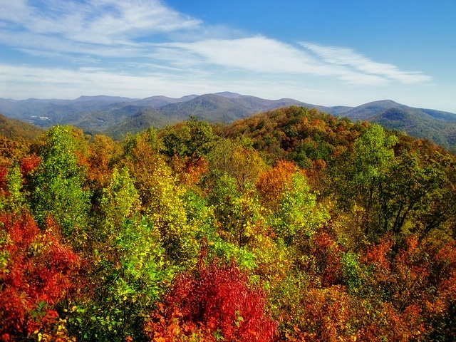 Autumn, Fall, Georgia RV Rentals, USA Motorhome Rental & Campervan Hire