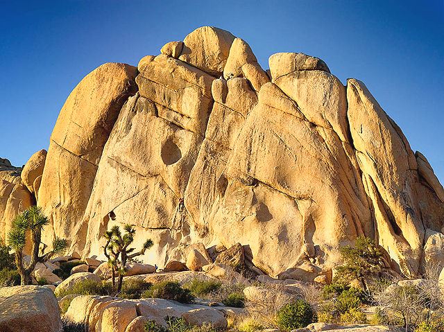 joshua tree national park, old woman rock,california, usa