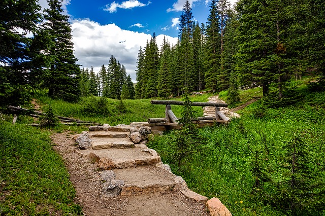 Trail in Rocky Mountain National Park, Colorado
