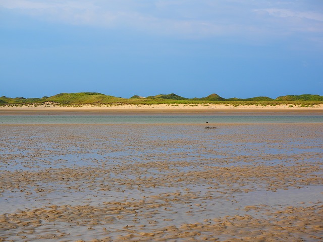 Het Zwin nature reserve, Belgium Coast