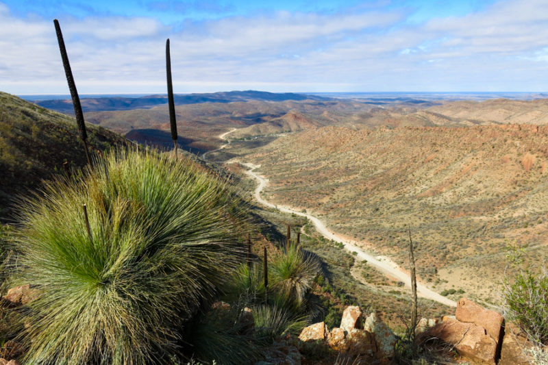 Flinders Ranges - Best Road Trips from Adelaide, South Australia