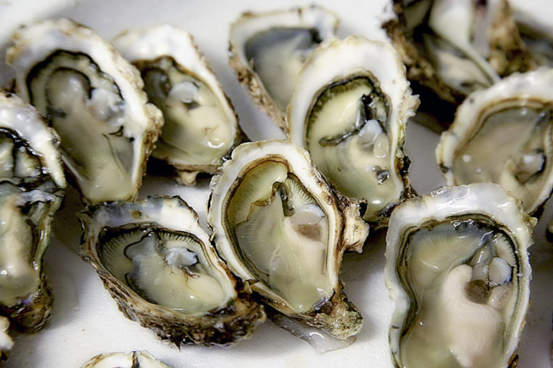 Oysters in the Eyre Peninsula, South Australia - Best Adelaide Road Trips
