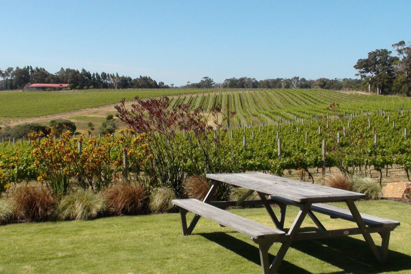 Margaret River winery, West Australian road trips from Perth