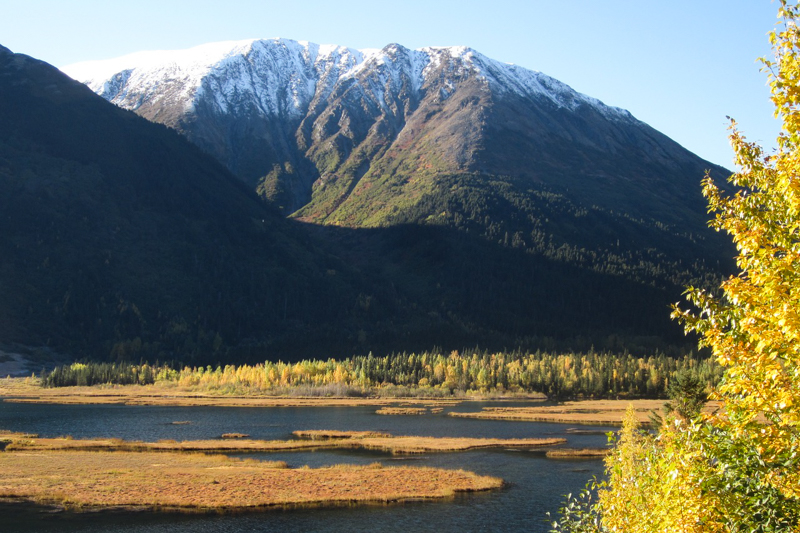 top 5 Alaska scenic drives,wilderness