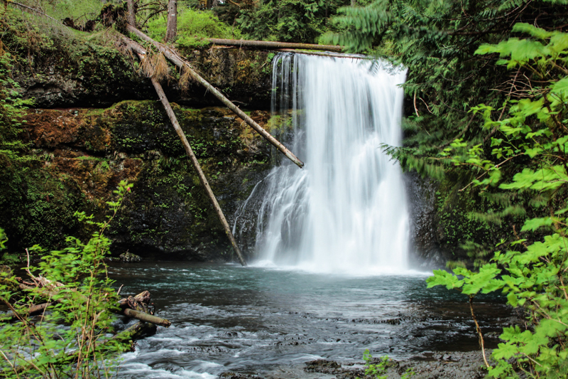 Silver Falls State Park, Oregon - Oregon Waterfalls