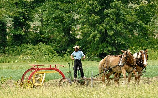 Philadelphia Campervan Rental Day Drives,amish,man,ohio,usa