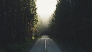 Pacific Rim Highway, Tofino, Vancouver Island, Canada