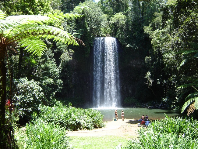 Great Tropical Drive, Queensland: Millaa Millaa Falls