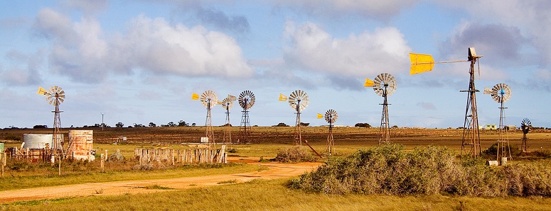 Driving Across the Nullarbor Plain, Windmills at Penong SA