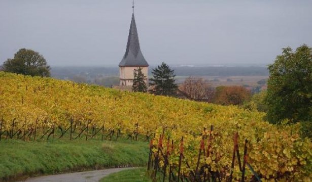 Alsace vineyards in France, Alsace Wine Route
