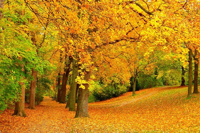 Autumn in Lower Saxony,germany