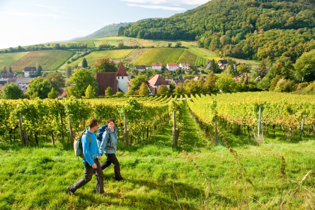 Hiking near Leinsweiler, Germany; Germany's Wine Road