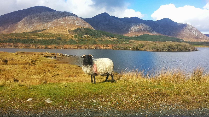 Connemara, Wild Atlantic Way