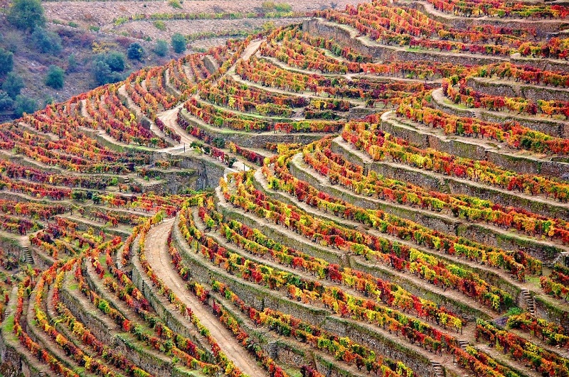 Douro Valley scenic drive, Portugal