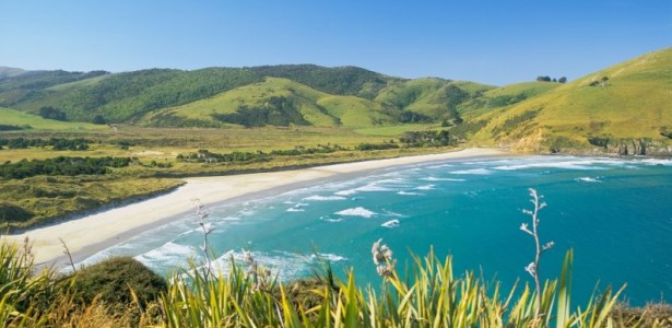 Cannibal Bay in the Catlins, Southern Scenic Route, New Zealand