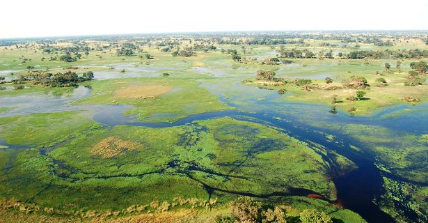 Rio Okavango, Campervan 4WD de Aluguer no Botsuana