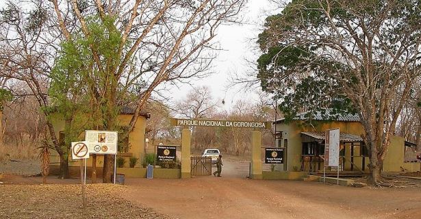 Parque nacional de Gorongosa, Aluguer de campervan 4WD em Moçambique