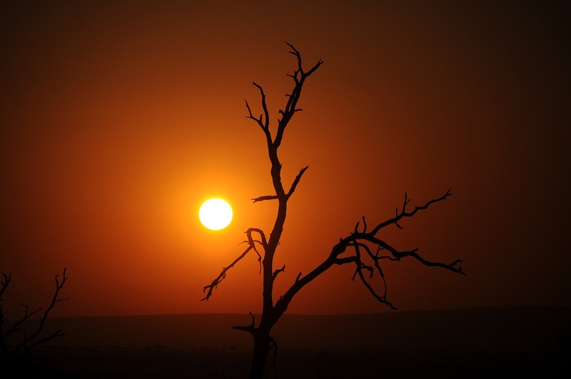 Nascer do Sol no Parque Nacional da África do Sul