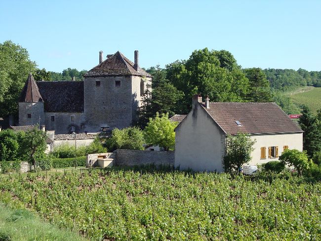 Chateau de Gamay, Saint Aubin, La Cote d' Or, Burgundy
