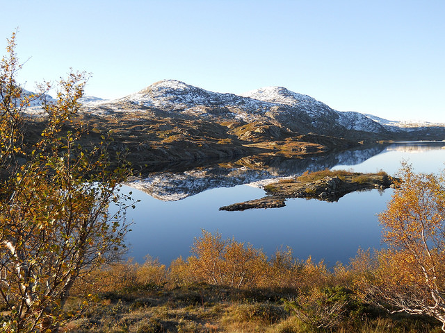 Njardarheim, Noruega: Foto por <a href="https://www.flickr.com/photos/statskog/>Statskog</a>/CC BY-NC 2.0