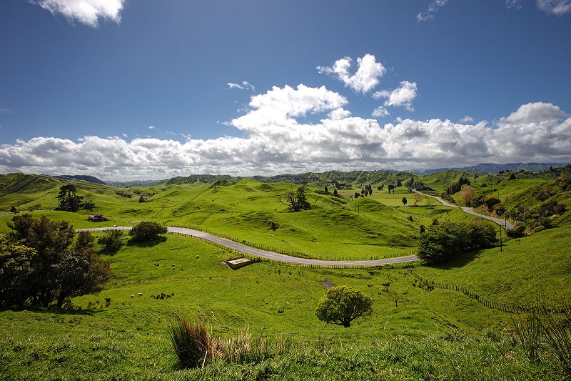 Estrada Forgotten World Nova Zelândia
