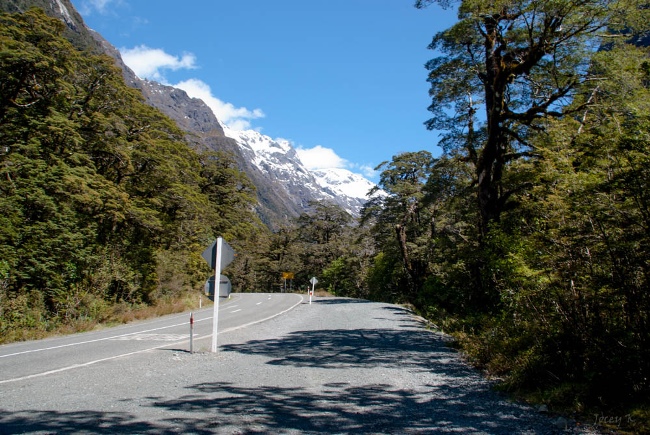 Estrada para Milford Sound, Nova Zelândia