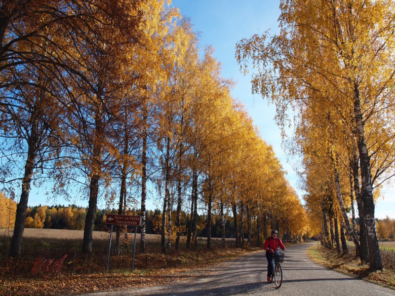 爱沙尼亚房车租赁, 秋天的乡村道路