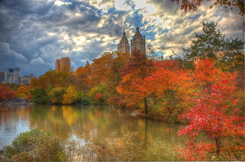 美国纽约,房车,租赁,中央公园,纽约的秋天
