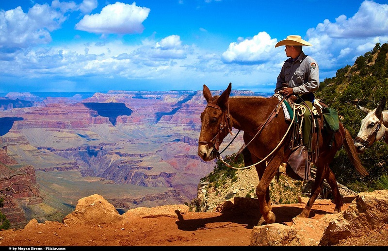 大峡谷上的牛仔,美国单程房车租赁